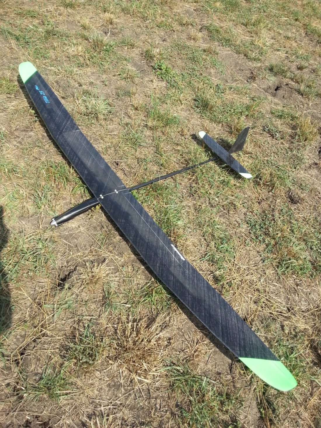 Tilia25fc.jpg