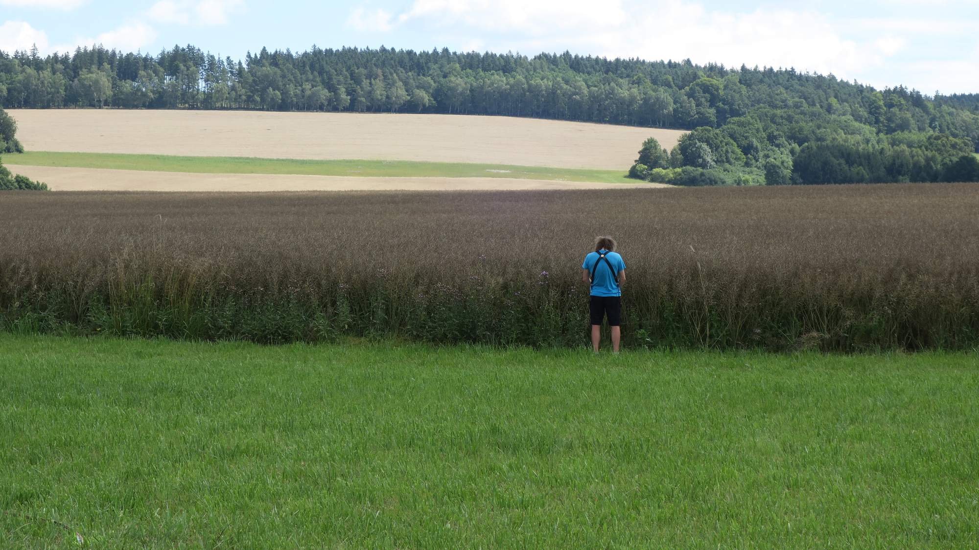 fotosoutez2018 16